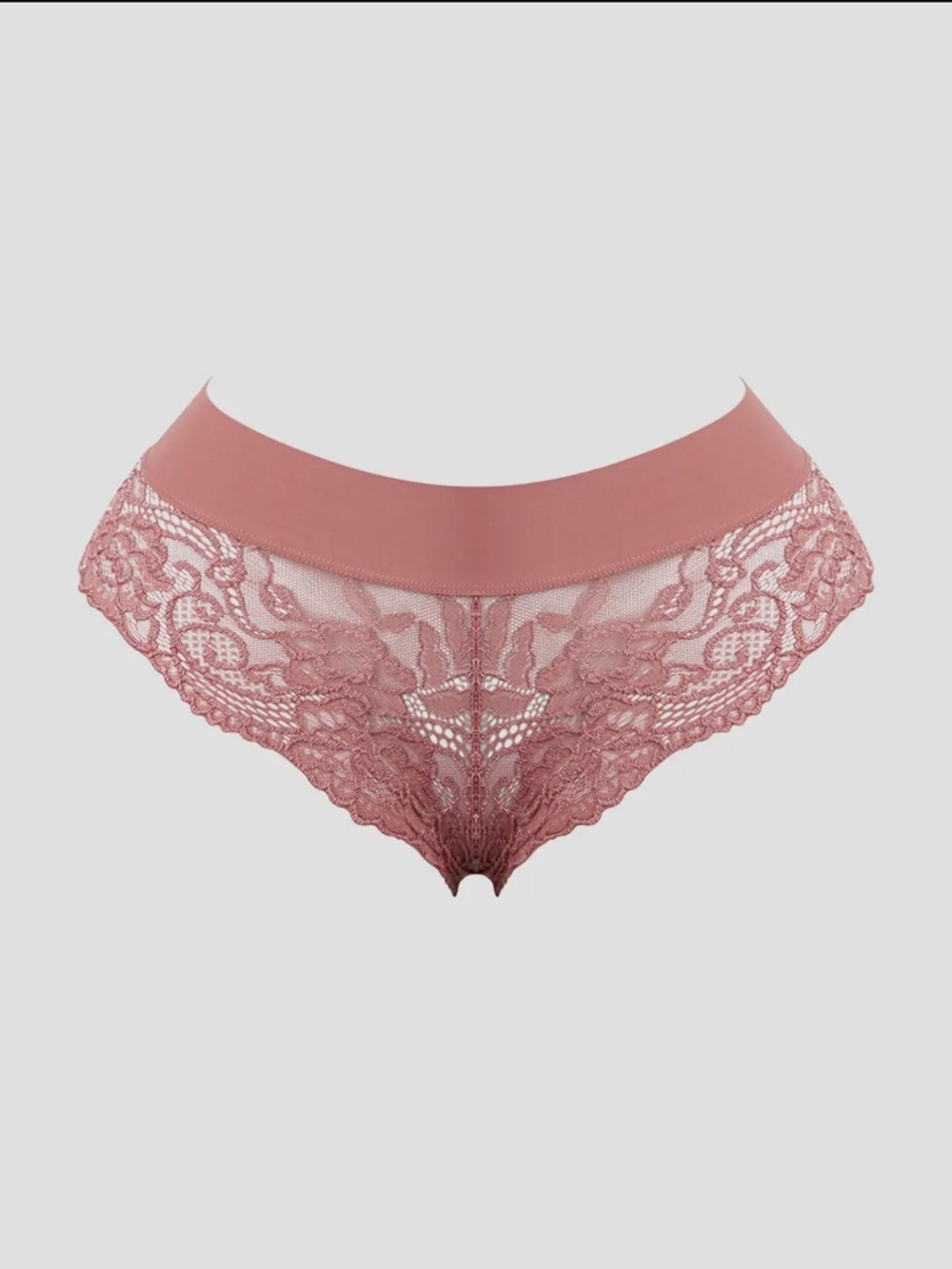 NWT Floral Lace Cheeky Panty | Dusty Rose